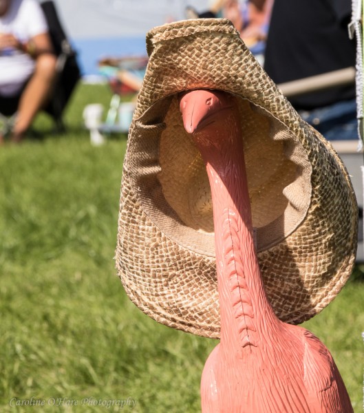Retro Festival 2017-39.jpg